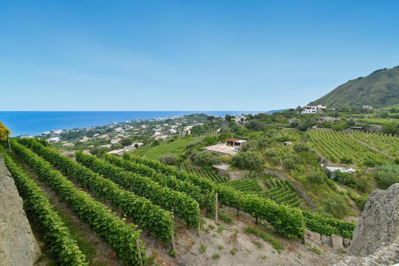 Forio di Ischia Tenuta C'Est La Vie מראה חיצוני תמונה